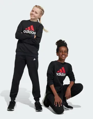 Adidas Chándal Essentials Big Logo Fleece (Adolescentes)