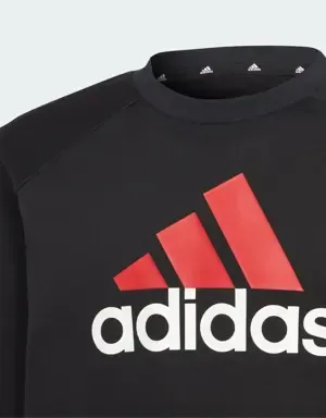 Adidas Chándal Essentials Big Logo Fleece (Adolescentes)