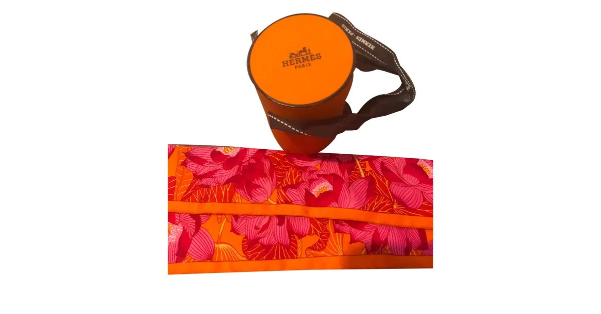 Hermès Bufandas Multicolor 