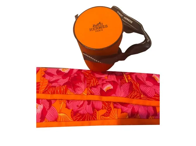 Hermès Bufandas Multicolor 