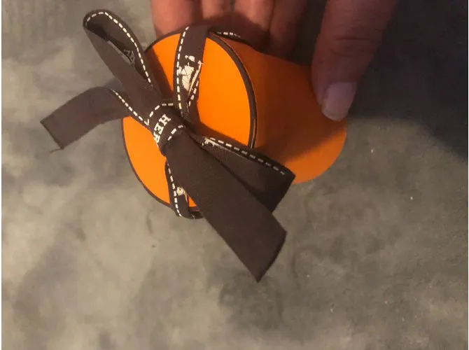 Hermès Bufandas Multicolor 