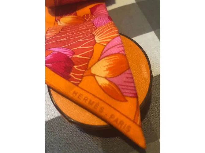 Hermès Bufandas Multicolor 